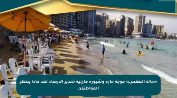 «حالة الطقس» موجة حارة وشبورة مائية تحذير الأرصاد لغد ماذا ينتظر المواطنون